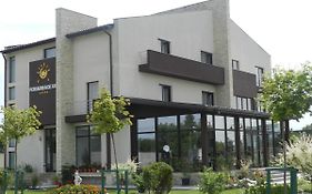 Pensiunea de Vis